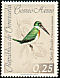 Amazon Kingfisher Chloroceryle amazona  1962 Birds 