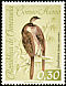Rufous-vented Chachalaca Ortalis ruficauda  1962 Birds 