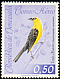 Oriole Blackbird Gymnomystax mexicanus  1962 Birds 