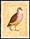 Lined Quail-Dove Zentrygon linearis