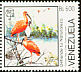 Scarlet Ibis Eudocimus ruber  1988 Endangered birds 