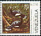 Helmeted Curassow Pauxi pauxi  1988 Endangered birds 