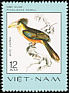 Austen's Brown Hornbill Anorrhinus austeni  1977 Rare birds 