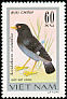 Crested Myna Acridotheres cristatellus  1978 Songbirds 