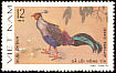 Siamese Fireback Lophura diardi  1979 Pheasants 