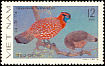 Temminck's Tragopan Tragopan temminckii  1979 Pheasants 