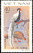 Silver Pheasant Lophura nycthemera  1979 Pheasants 