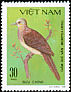 Barred Cuckoo-Dove Macropygia unchall  1981 Pigeons 
