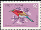 Crimson Sunbird Aethopyga siparaja  1981 Sunbirds 