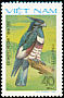 Black Baza Aviceda leuphotes  1982 Birds of prey 