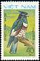 Black Baza Aviceda leuphotes