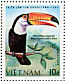 Toco Toucan Ramphastos toco