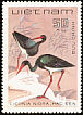 Black Stork Ciconia nigra  1983 Birds 