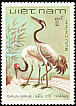 Common Crane Grus grus  1983 Birds 