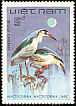 Black-crowned Night Heron Nycticorax nycticorax  1983 Birds 
