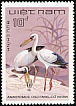 Asian Openbill Anastomus oscitans  1983 Birds 