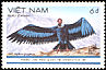 Andean Condor Vultur gryphus