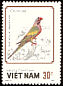 Red-breasted Parakeet Psittacula alexandri  1988 Parrots 