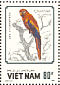 Scarlet Macaw Ara macao  1988 Parrots  MS