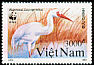 Siberian Crane Leucogeranus leucogeranus  1991 WWF 