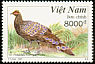 Germain's Peacock-Pheasant Polyplectron germaini  1997 Pheasants 