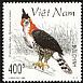 Ornate Hawk-Eagle Spizaetus ornatus  1998 Birds of prey 