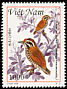 Speckled Piculet Picumnus innominatus  1999 Woodpeckers 