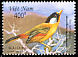 Silver-eared Mesia Leiothrix argentauris  2000 Birds 