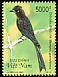 Greater Racket-tailed Drongo Dicrurus paradiseus  2000 Birds 