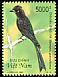 Greater Racket-tailed Drongo Dicrurus paradiseus