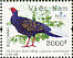 Vietnamese Pheasant Lophura hatinhensis  2006 BirdLife International Sheet