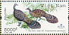 Germain's Peacock-Pheasant Polyplectron germaini  2006 BirdLife International Sheet