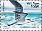 Greater Crested Tern Thalasseus bergii  2022 Coastal birds 