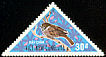 Eurasian Tree Sparrow Passer montanus  1970 Birds of Vietnam 