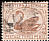 Black Swan Cygnus atratus  1871 Definitives 