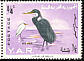 Western Reef Heron Egretta gularis  1965 Birds 