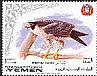 Peregrine Falcon Falco peregrinus