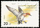 Eurasian Wigeon Mareca penelope  1990 Ducks 