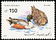Northern Shoveler Spatula clypeata  1990 Ducks 