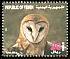 Western Barn Owl Tyto alba  1996 Birds 