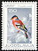 Common Chaffinch Fringilla coelebs  1968 Song birds 