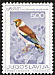 Hawfinch Coccothraustes coccothraustes  1968 Song birds 