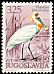 Eurasian Spoonbill Platalea leucorodia  1972 Birds 
