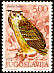 Eurasian Eagle-Owl Bubo bubo  1972 Birds 