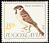 Eurasian Tree Sparrow Passer montanus  1982 Birds 