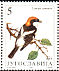 Woodchat Shrike Lanius senator  1991 Protected birds Strip