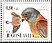 Lesser Kestrel Falco naumanni  1994 Birds Strip