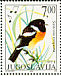 European Stonechat Saxicola rubicola  2002 Birds 