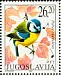 Eurasian Blue Tit Cyanistes caeruleus  2002 Birds 