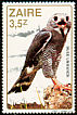 Lizard Buzzard Kaupifalco monogrammicus  1982 Birds 